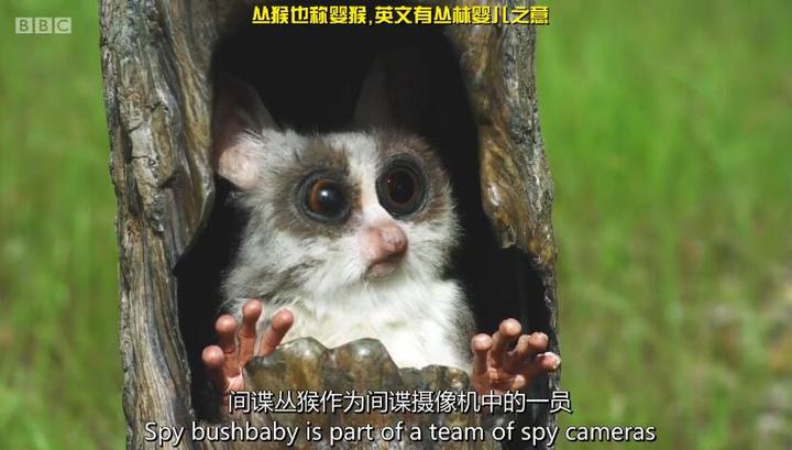 双主角铁轨中国