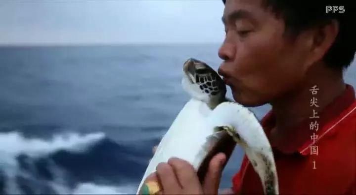 快节奏美食环游